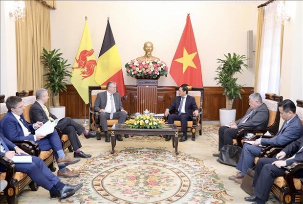 Vietnam, socio prioritario de Federacion Valonia-Bruselas hinh anh 2