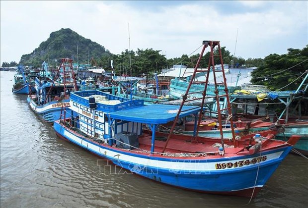 Kien Giang trabajara con equipo de inspeccion de la CE en lucha contra la pesca ilegal hinh anh 1