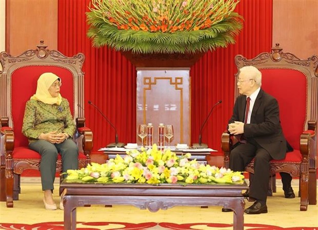 Prensa de Singapur resalta significado de visita de presidenta Halimah Yacob a Vietnam hinh anh 3