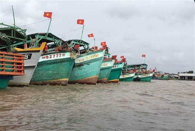 Localidad vietnamita adopta diversas medidas para lucha contra la IUU hinh anh 1