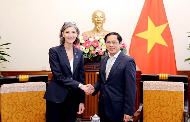 Canciller vietnamita se reune con representante del PNUD en Vietnam hinh anh 1