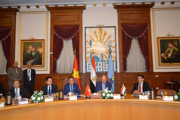 Hanoi y El Cairo buscan fortalecer cooperacion integral hinh anh 1