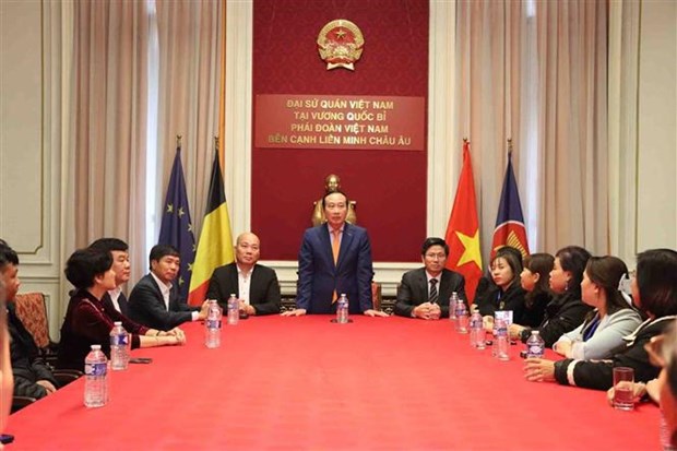 Robustecen intercambio comercial entre Vietnam y Belgica hinh anh 2