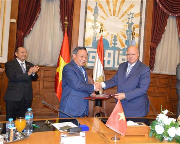 Hanoi y El Cairo buscan fortalecer cooperacion integral hinh anh 2