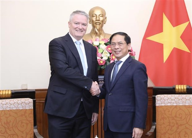 Consolidan cooperacion entre Vietnam y OCDE hinh anh 1