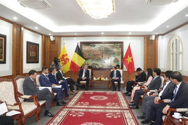 Vietnam y Comunidad francofona de Belgica por reforzar cooperacion deportiva hinh anh 1