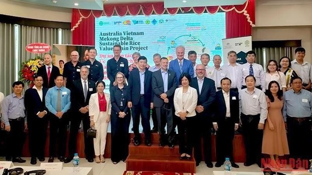 Vietnam y Australia inician proyecto de cooperacion sobre cadena de valor del arroz hinh anh 1