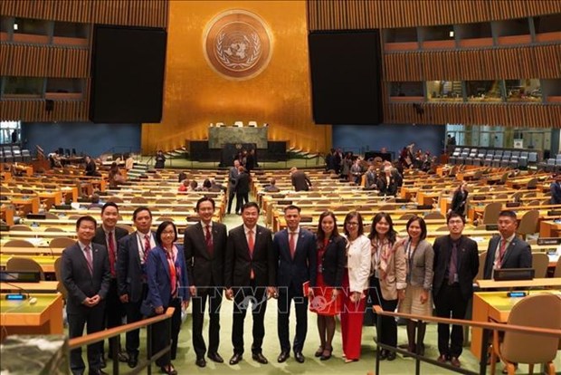 Vietnam y ONU fomentan relaciones de asociacion hinh anh 2
