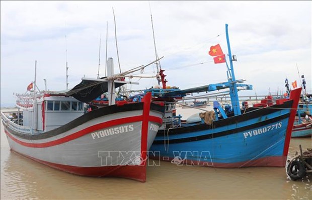 Localidad vietnamita acelera medidas para levantar “tarjeta amarrilla” por CE hinh anh 1