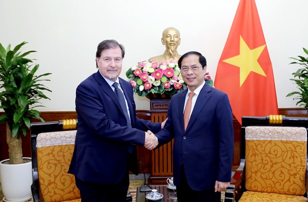 Vietnam y Chile realizan la VII reunion de consulta politica hinh anh 1