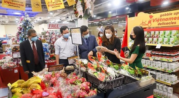 Trabajan por acercar productos vietnamitas a consumidores de Singapur hinh anh 1