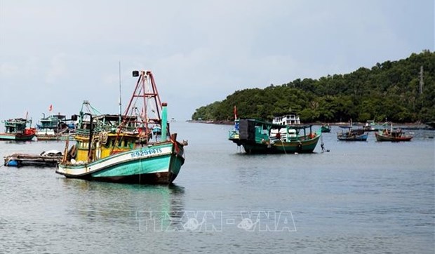 Vietnam refuerza lucha contra la pesca ilegal hinh anh 1