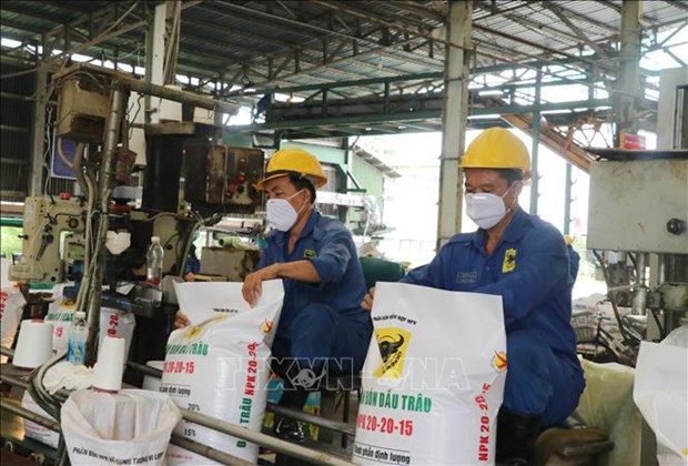 Exportaciones de fertilizantes de Vietnam registran nuevo record hinh anh 1