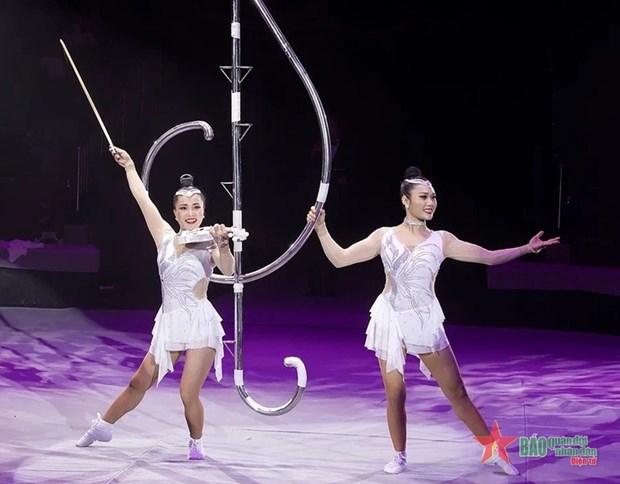 Gana Vietnam premio de oro en Festival Internacional del Circo hinh anh 1