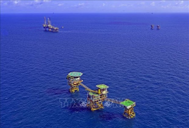 Vietsovpetro recibe primer flujo de petroleo de plataforma de Ca Tam 2 hinh anh 1