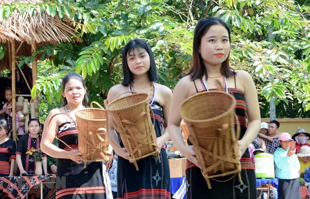 Minoria etnica de Co Tu en Vietnam por preservar su cultura hinh anh 1