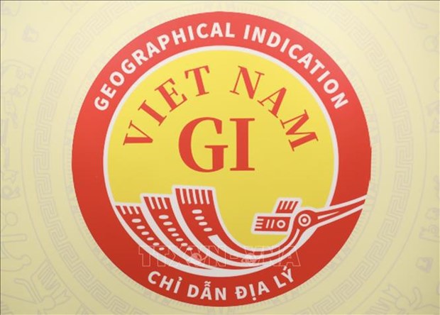 Anuncian logotipo de indicacion geografica nacional de Vietnam hinh anh 1