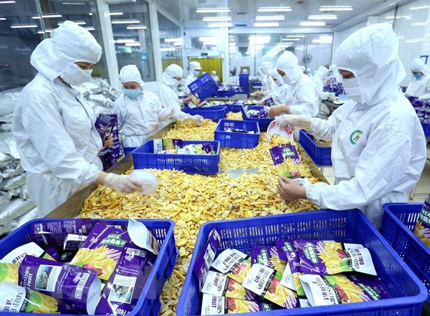 Industria de procesamiento sigue siendo motor del crecimiento de exportaciones vietnamitas hinh anh 1