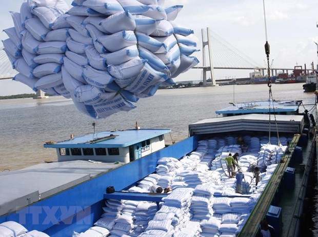 Vietnam exporta mas de seis millones de toneladas de arroz en 10 meses hinh anh 1