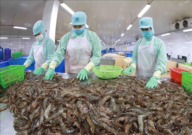 Exportacion acuicola de Vietnam aumenta 34 por ciento en 10 meses hinh anh 2
