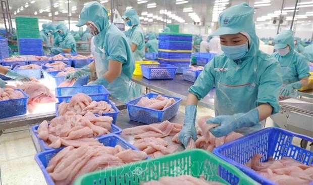 Exportacion acuicola de Vietnam aumenta 34 por ciento en 10 meses hinh anh 1