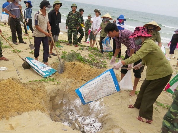 Proteccion del entorno de vida y salud del pueblo es objetivo principal de Vietnam hinh anh 1