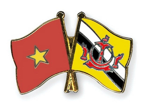 Jefe de Estado Mayor general del Ejercito Popular de Vietnam visita Brunei hinh anh 1