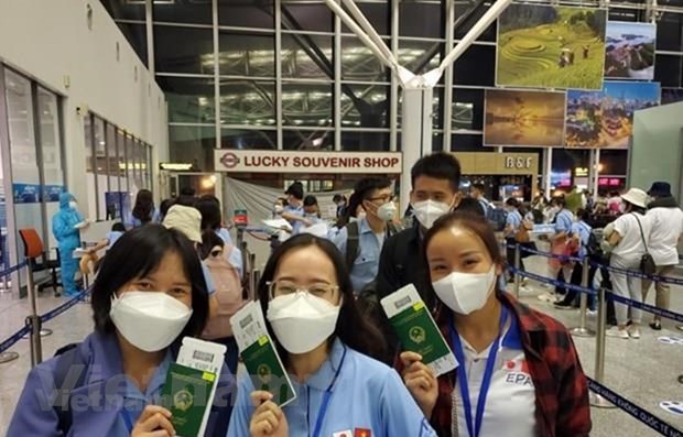 Provincia vietnamita facilita aportes de patriotas en extranjero a construccion nacional hinh anh 1