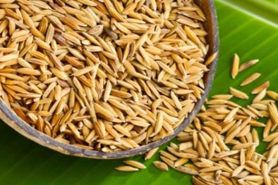 Cientifico vietnamita encuentra compuestos contra el cancer en cascaras de arroz hinh anh 1