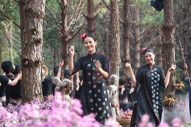 Efectuan en provincia vietnamita desfile de traje de brocado hinh anh 1