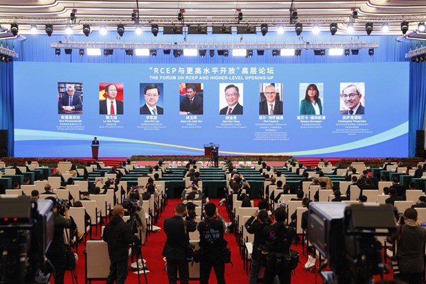 Vicepremier vietnamita asiste al foro “RCEP impulsa la apertura de alto nivel” en China hinh anh 1