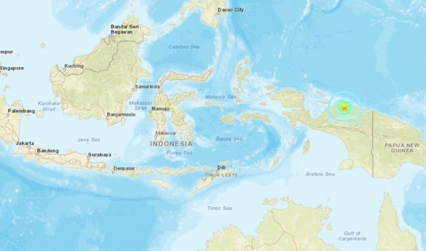 Terremoto de magnitud 6,1 sacude centro de Indonesia hinh anh 1