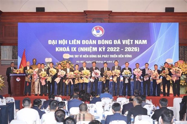 Trabajan juntos por desarrollo sostenible de futbol de Vietnam hinh anh 1