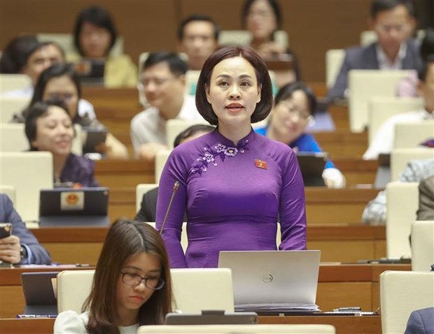Parlamento vietnamita aprueba Ley de Implementacion de la Democracia de Base hinh anh 1