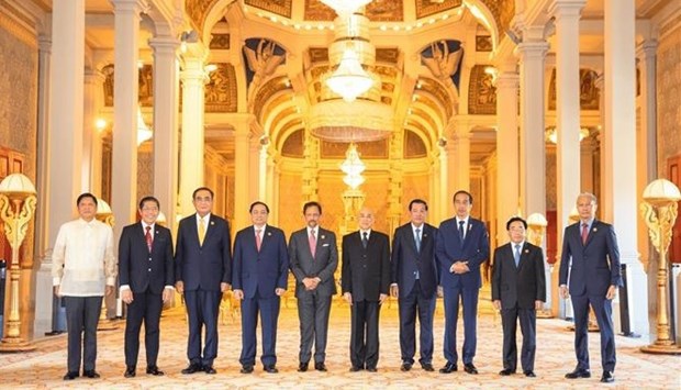Premier vietnamita y dirigentes de paises de la ASEAN se reunen con el Rey de Camboya hinh anh 1