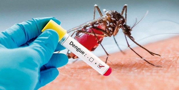 Laos refuerza medidas contra dengue hinh anh 1