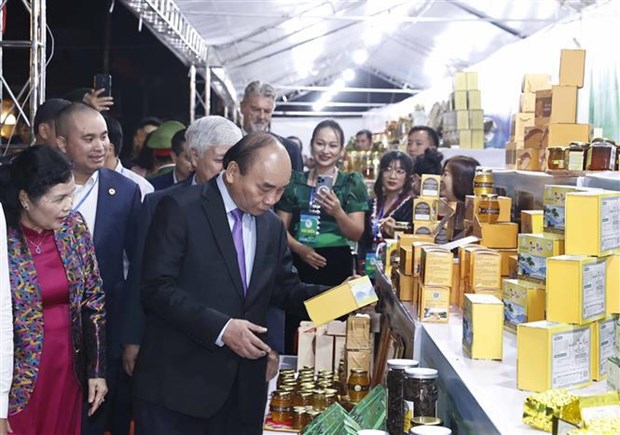 Resaltan potencial de Vietnam de desarrollar industria multimillonaria de ginseng hinh anh 1