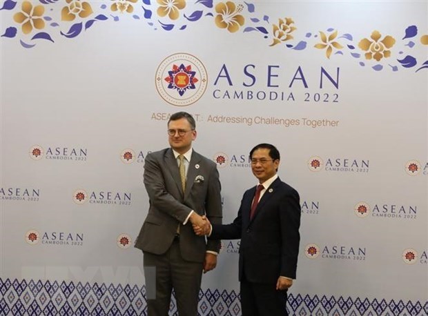 Vietnam felicita a Ucrania por unirse al Tratado de Amistad y Cooperacion en el Sudeste Asiatico hinh anh 1