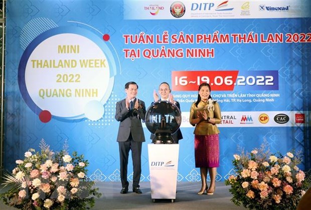 Vietnam y Tailandia aspiran a 25 mil millones de dolares en comercio hinh anh 2