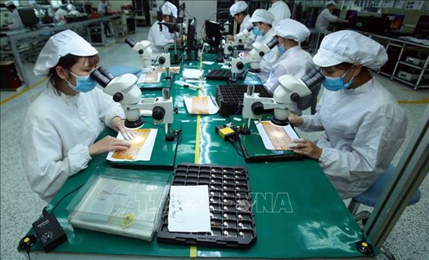Buscan aprovechar ventajas de tratado comercial Vietnam-UE hinh anh 1
