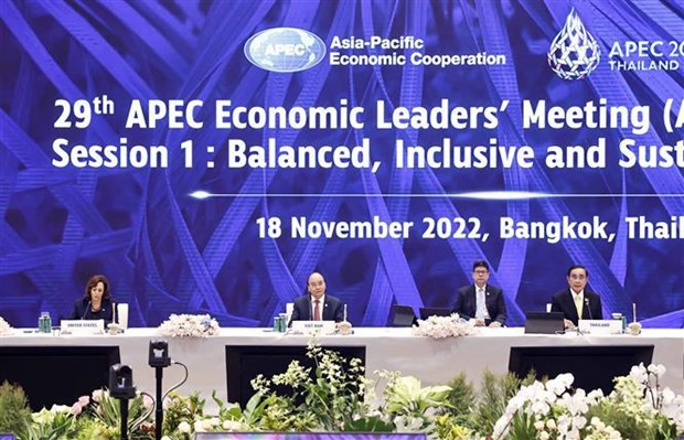 Presidente de Vietnam asiste a Reunion de Lideres Economicos del APEC hinh anh 1