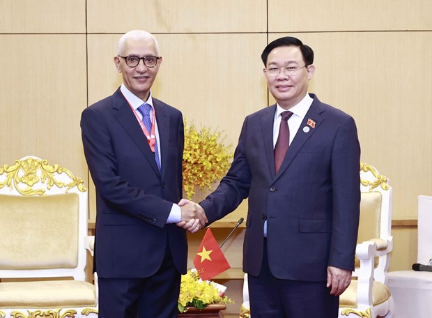 Vietnam y Marruecos fortalecen las relaciones bilaterales hinh anh 1