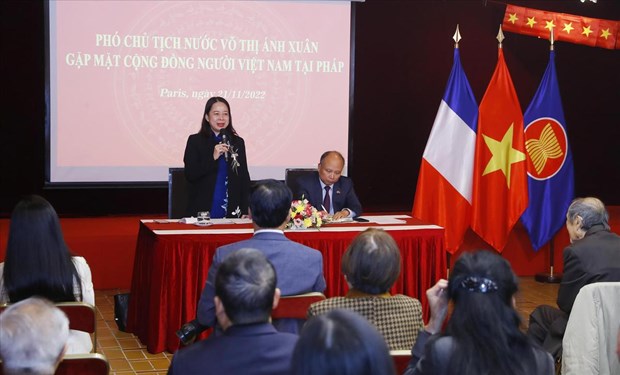 Vicepresidenta de Vietnam se reune con comunidad de connacionales en Francia hinh anh 1