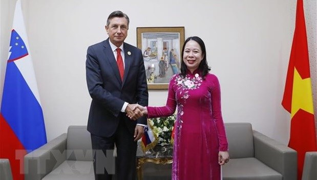 Vicepresidenta de Vietnam sostiene encuentros con lideres mundiales hinh anh 1