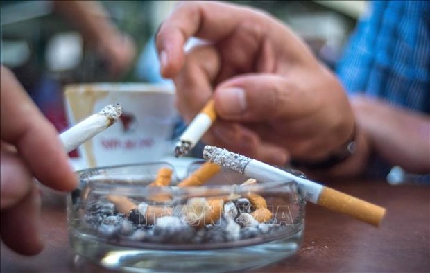 Situacion, desafios y soluciones para el tabaquismo en Vietnam hinh anh 1