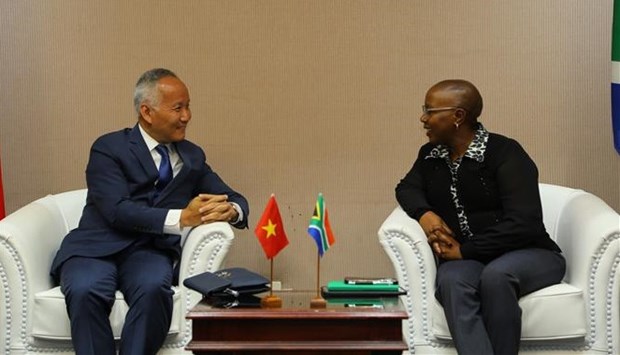 Reunion de Comite Conjunto de Comercio Vietnam-Sudafrica abre oportunidades de cooperacion hinh anh 1