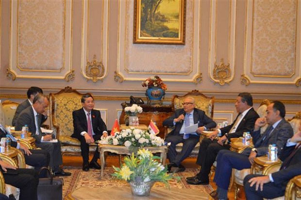 Vicepresidente parlamentario vietnamita realiza visita a Egipto hinh anh 3