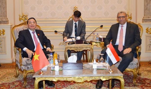 Vicepresidente parlamentario vietnamita realiza visita a Egipto hinh anh 1