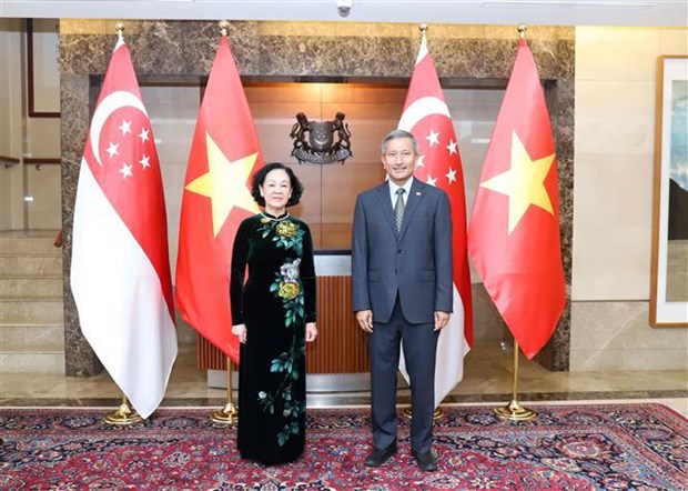 Delegacion del Partido Comunista de Vietnam realiza visita a Singapur hinh anh 1