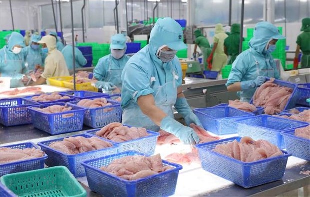 Exportaciones acuicolas de Vietnam superan los 10 mil millones de dolares hinh anh 1